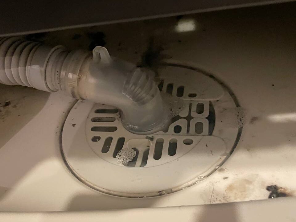 洗濯機の排水口