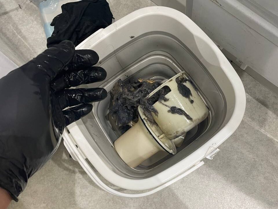 洗濯機の排水口分解清掃
