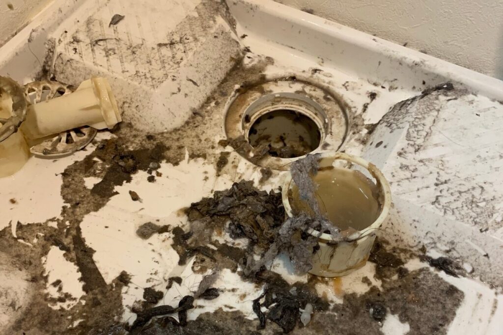 洗濯機排水口・トラップ汚れ清掃