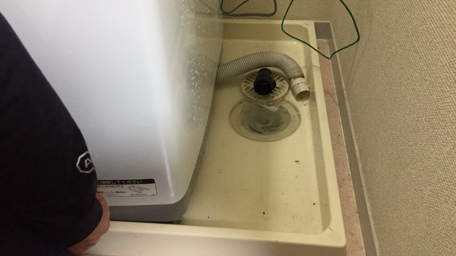 洗濯機排水口掃除