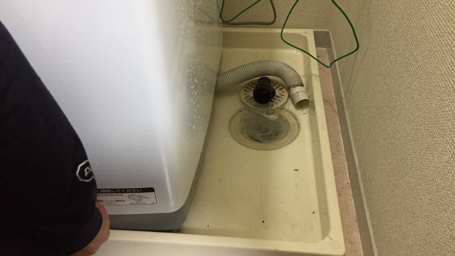 洗濯機排水口掃除