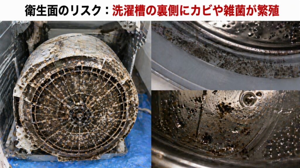 衛生面のリスク：洗濯槽の裏側にカビや雑菌が繁殖